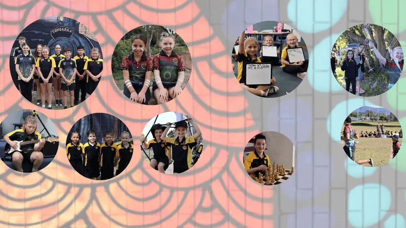 Albion Park Rail Public School