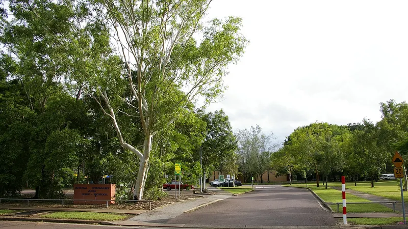 Anula Primary School