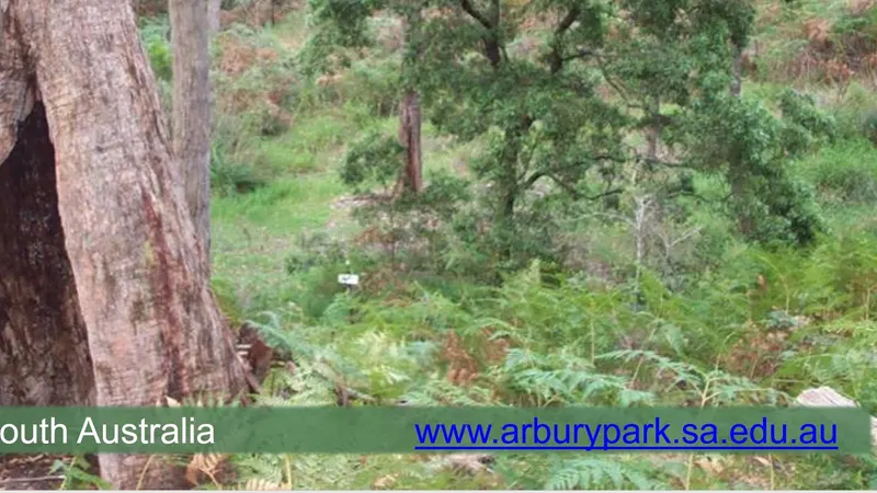 Arbury Park Outdoor School