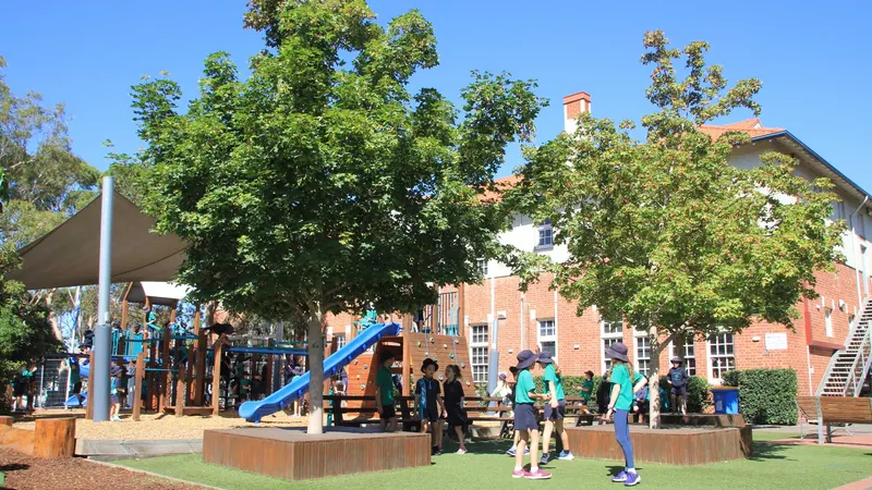 Auburn South Primary School