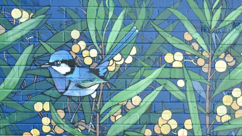 Balgowlah Heights Public School