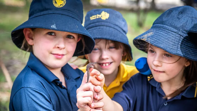 Banksia Park School R-6
