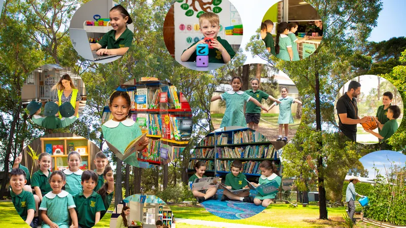 Banksia Road Public School