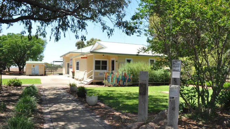 Binya Public School