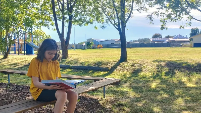 Black Mountain Public School