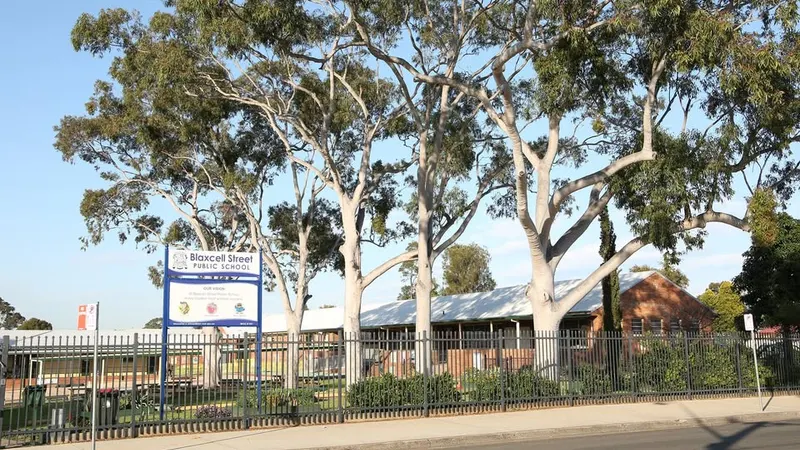 Blaxcell Street Public School