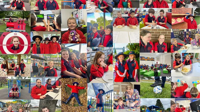 Blayney Public School