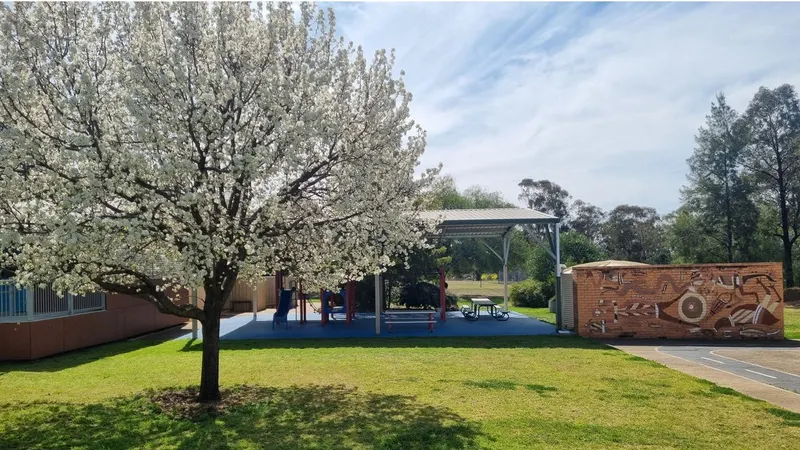 Bogan Gate Public School