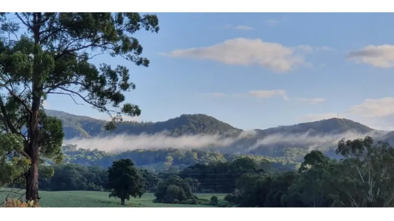 Bonville Public School