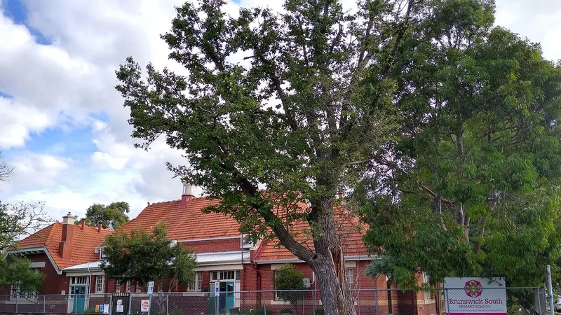 Brunswick South Primary School