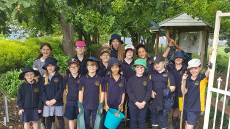 Buchan Primary School