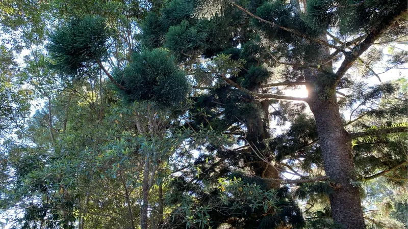 Cascade Environmental Education Centre