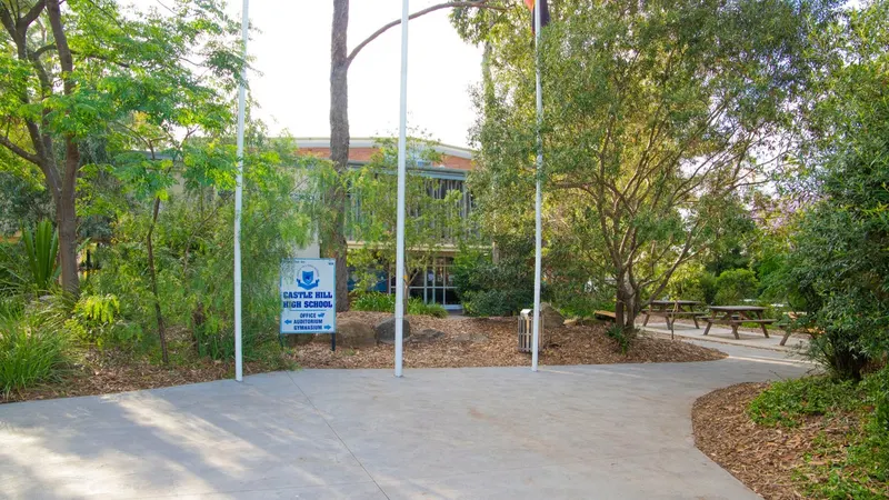 Castle Hill High School