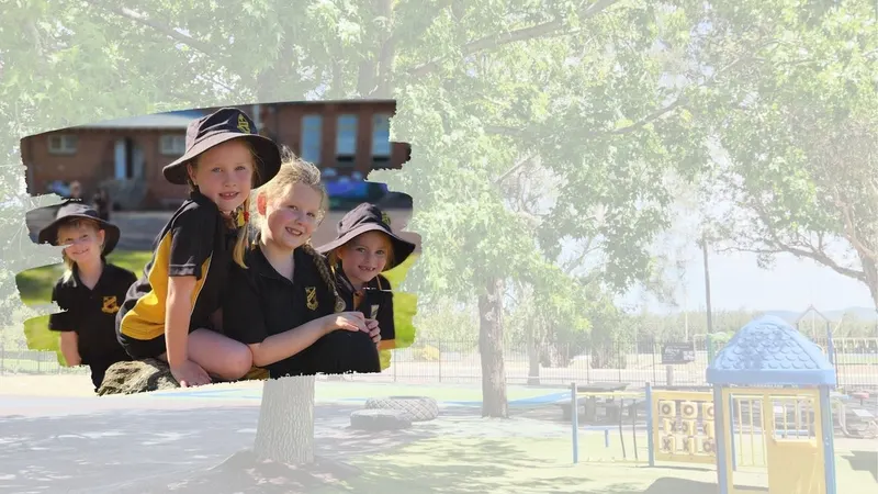 Cessnock Public School