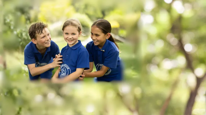 Chillingham Public School