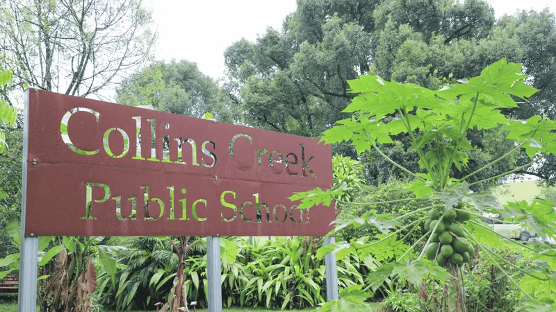 Collins Creek Public School