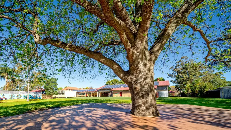Concord West Public School