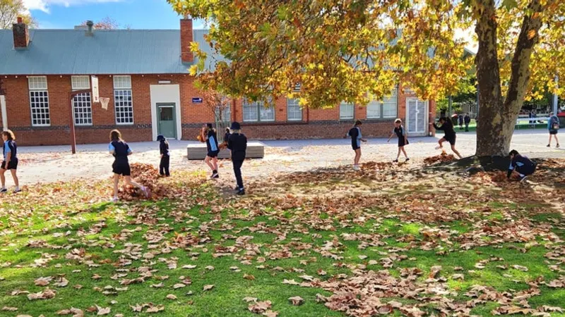 Cootamundra Public School
