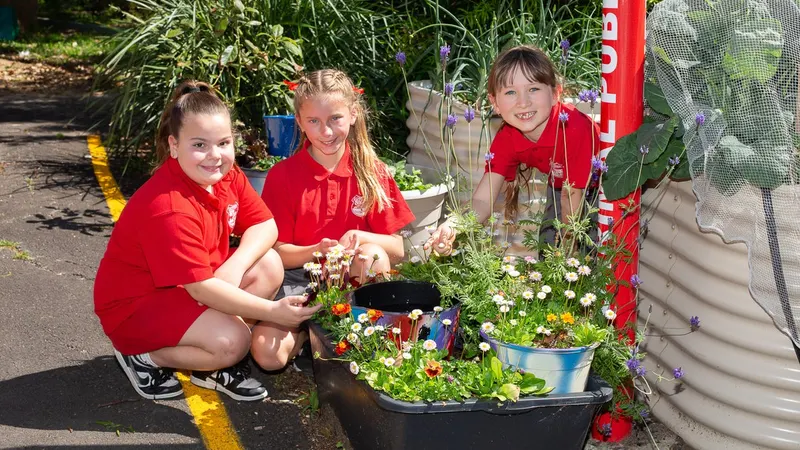 Corrimal Public School