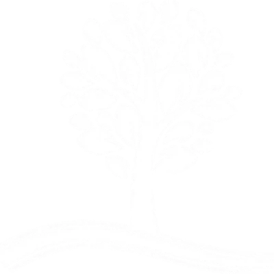 Craigmore South Primary School