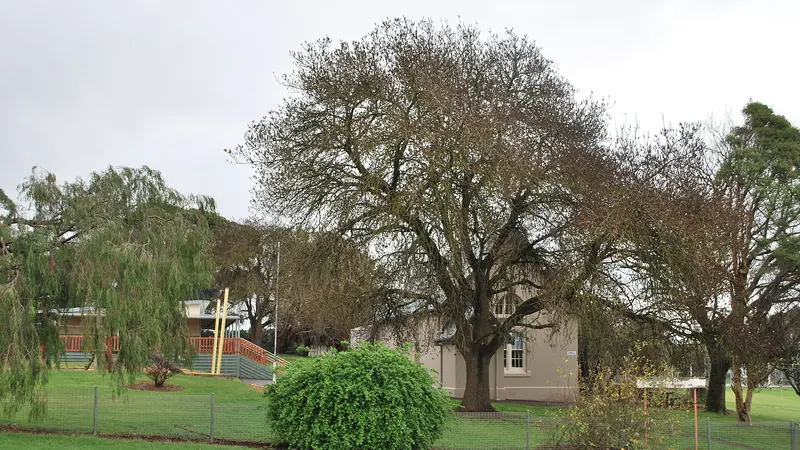 Cudgee Primary School
