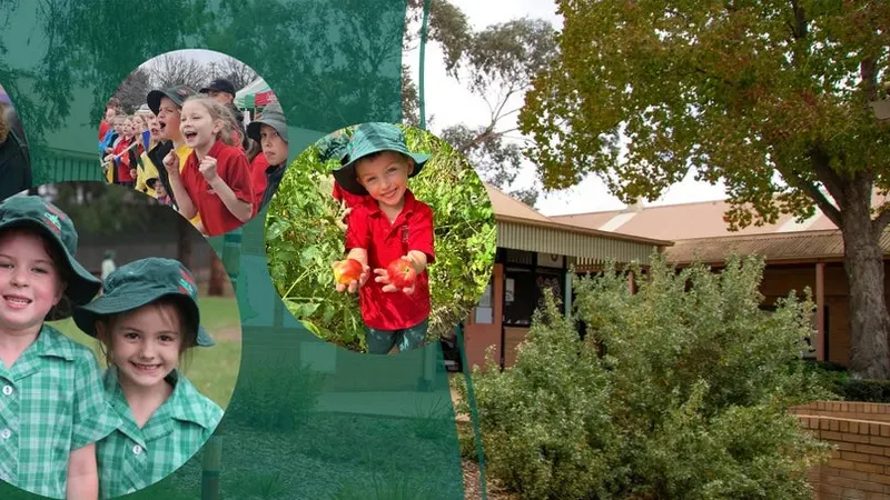 Cudgegong Valley Public School