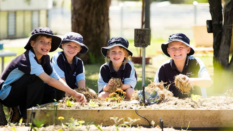 Delungra Public School