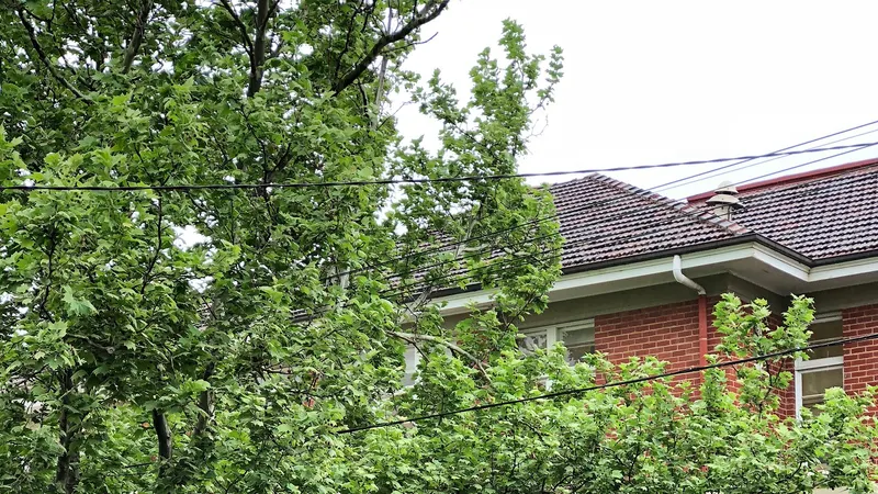 Deutsche Schule Melbourne