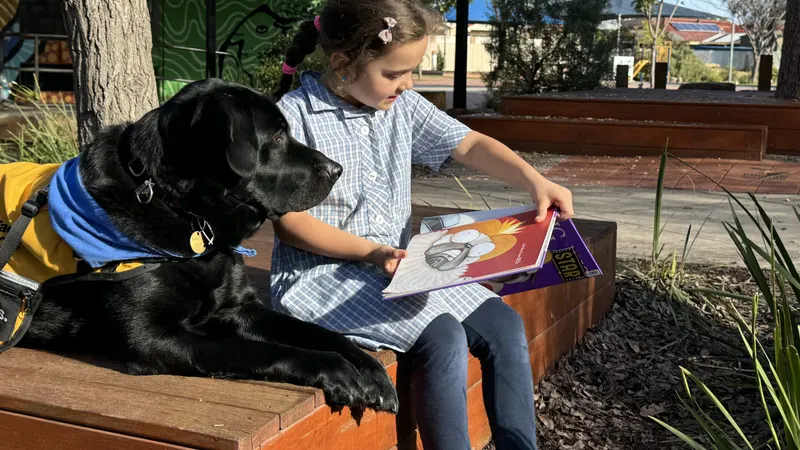 Disability Unit Kidman Park