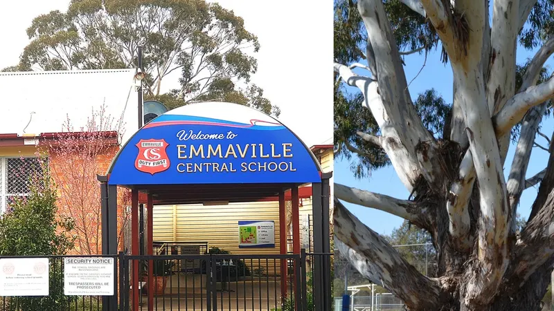 Emmaville Central School