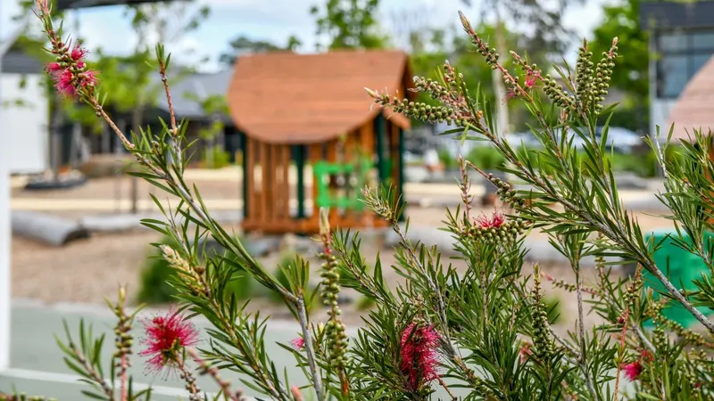 Epping Views Primary School