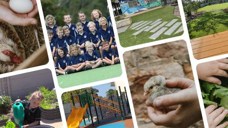 Erina Heights Public School