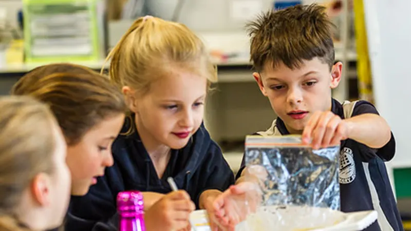 Flinders Park Primary School