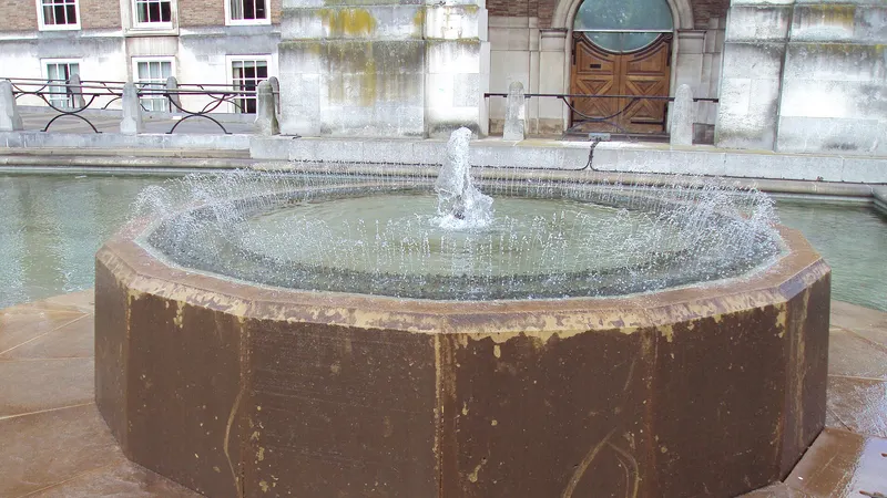 Fountain College