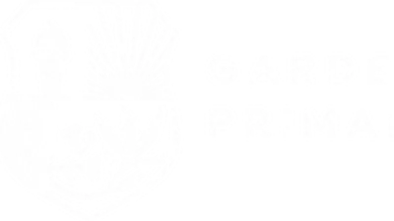 Gardenvale Primary School