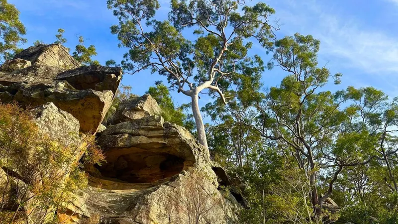 Georges River Environmental Education Centre