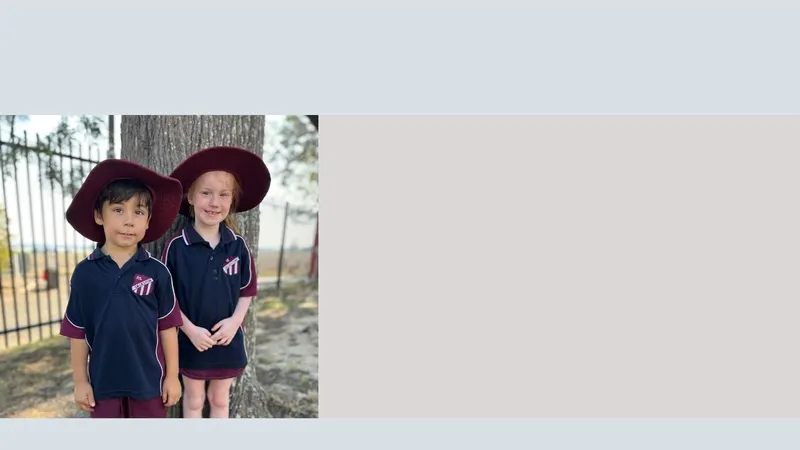 Gillieston Public School
