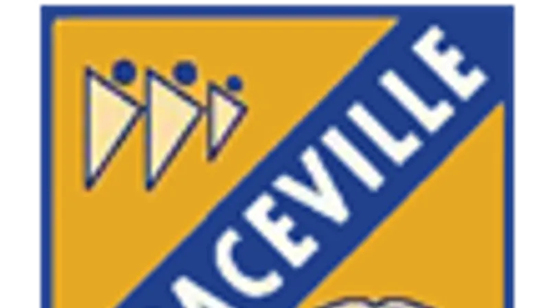 Graceville State School