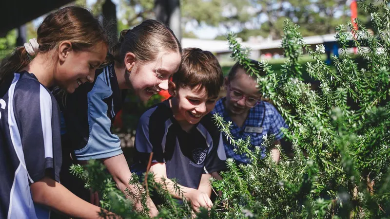 Gwynneville Public School