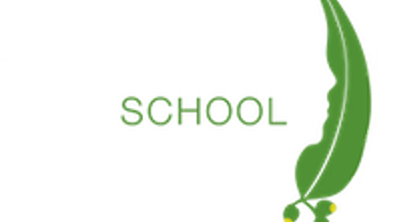 Hamlyn Views School