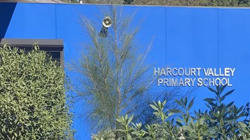Harcourt Valley Primary School