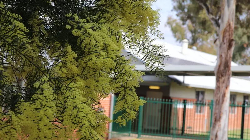 Hassall Grove Public School