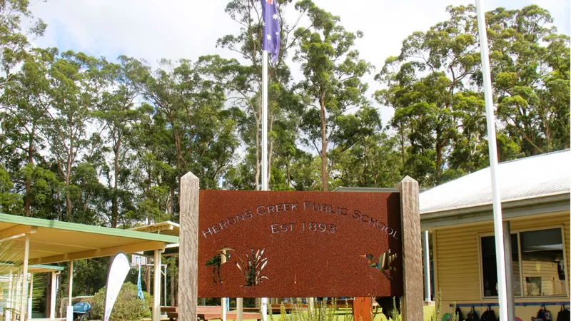 Herons Creek Public School