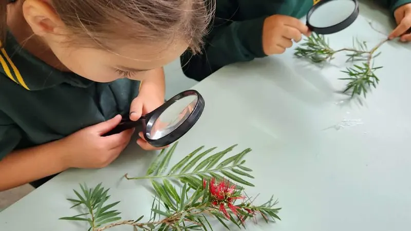 Hurstbridge Primary School