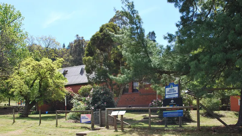 Jamieson Primary School