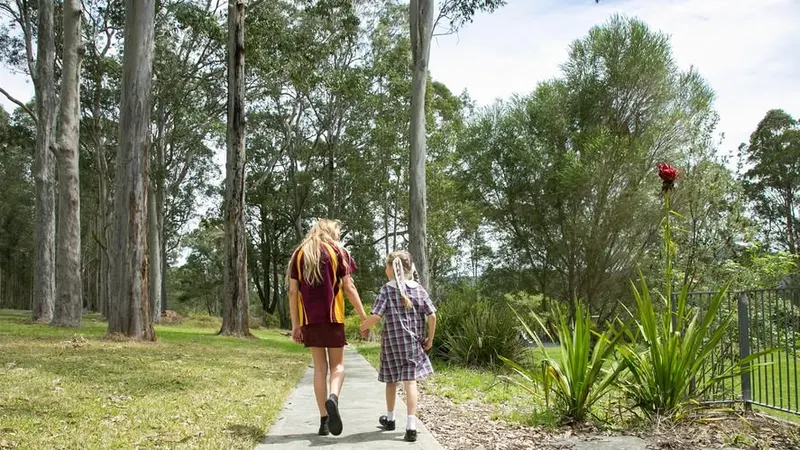 Jilliby Public School