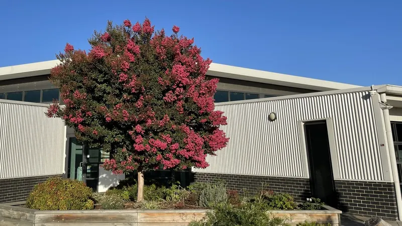 Keysborough Primary School