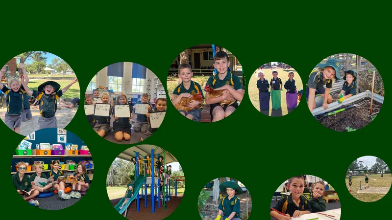 Ladysmith Public School