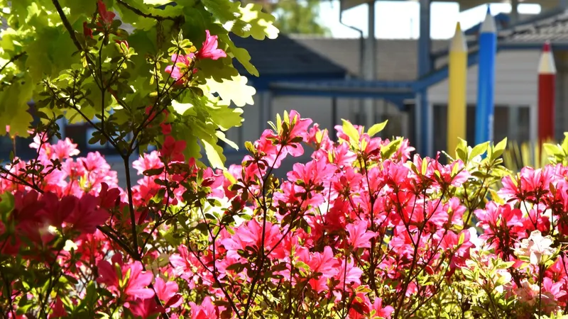 Leura Public School