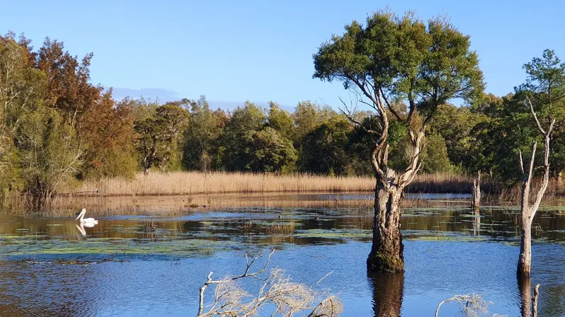 Longneck Lagoon Environmental Education Centre